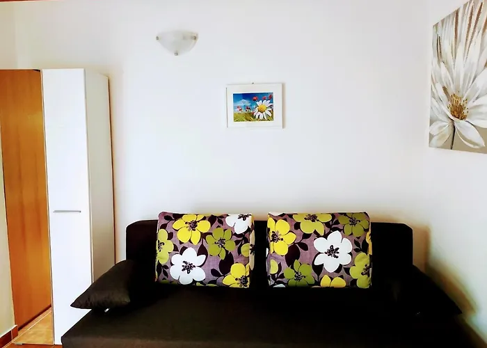 Gostinjska kuća And Aleksandra 3*