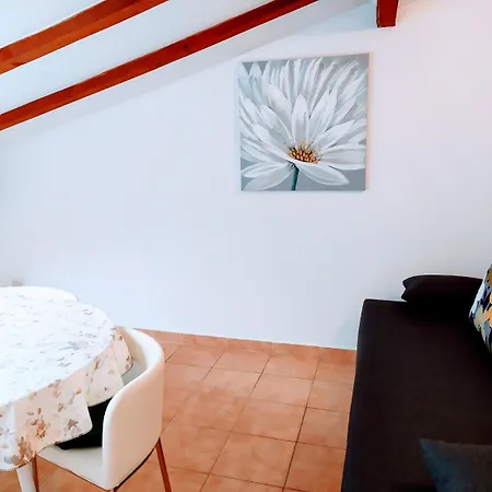 And Aleksandra 3* Bibinje