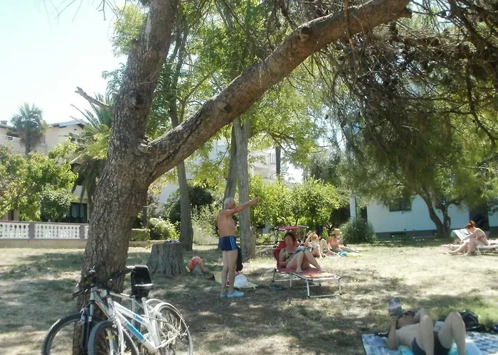 And Aleksandra Bibinje