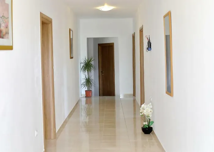 And Aleksandra Bibinje